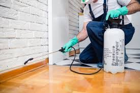 Best Real Estate Pest Inspections  in West Odessa, TX